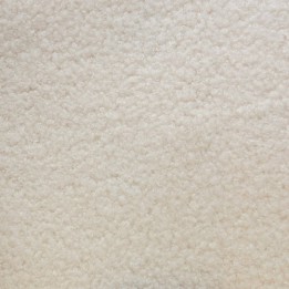 Teddy Ivory
