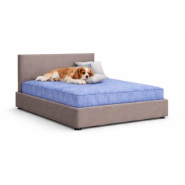 Signature Plain Luxury Pet Divan Bed with Headboard – UK Made