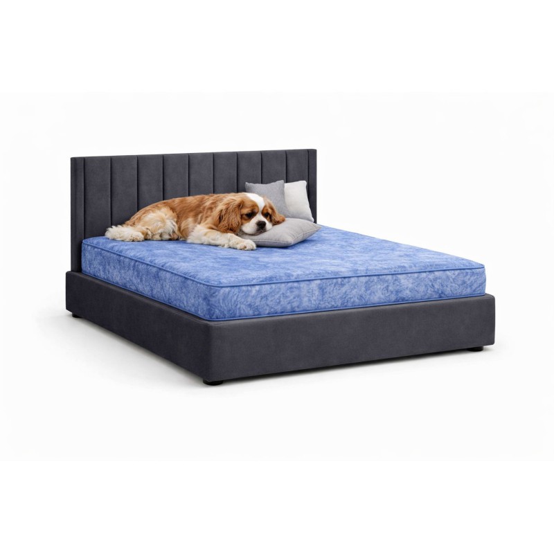Signature Montgomery Luxury Pet Divan Bed with Headboard – UK Made