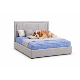 Signature Miami Luxury Pet Divan Bed with Matching Headboard – UK Made