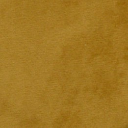 Tumeric - Plush - Velvet
