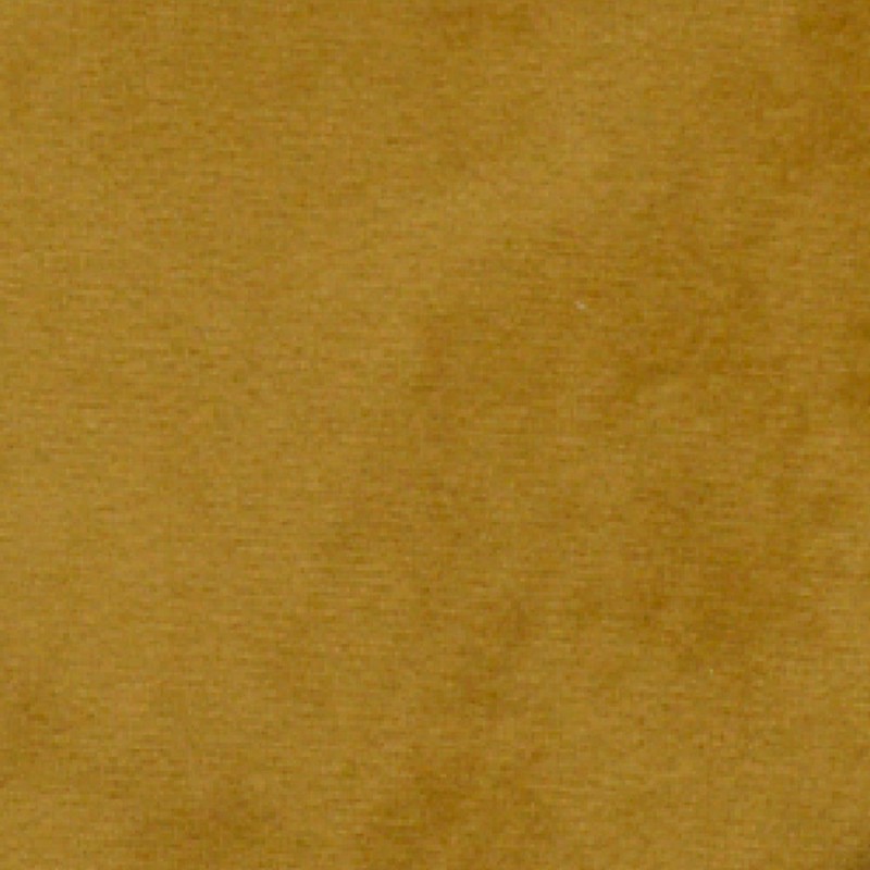 Tumeric - Plush - Velvet