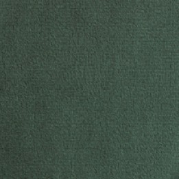 Green - Plush - Velvet