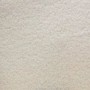 Teddy Ivory